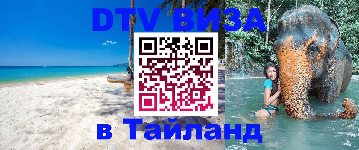 Оформление DTV визы под ключ: стоимость и тарифы, только загранпаспорт - 18.11.2025 